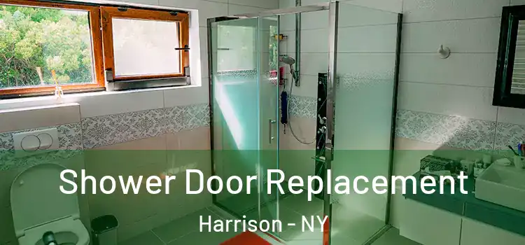 Shower Door Replacement Harrison - NY
